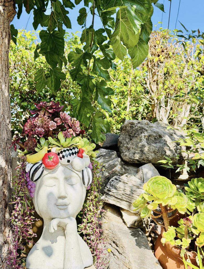 Vườn tuyệt đẹp trong biệt thự 30 tỷ của danh hài Thúy Nga: Ngập tràn sen đá, trái cây lúc lỉu trên đầu - 30