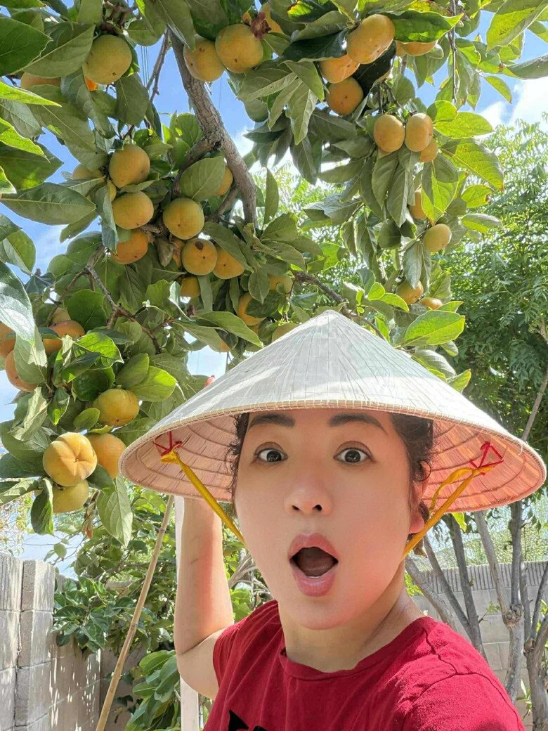 Vườn tuyệt đẹp trong biệt thự 30 tỷ của danh hài Thúy Nga: Ngập tràn sen đá, trái cây lúc lỉu trên đầu - 20