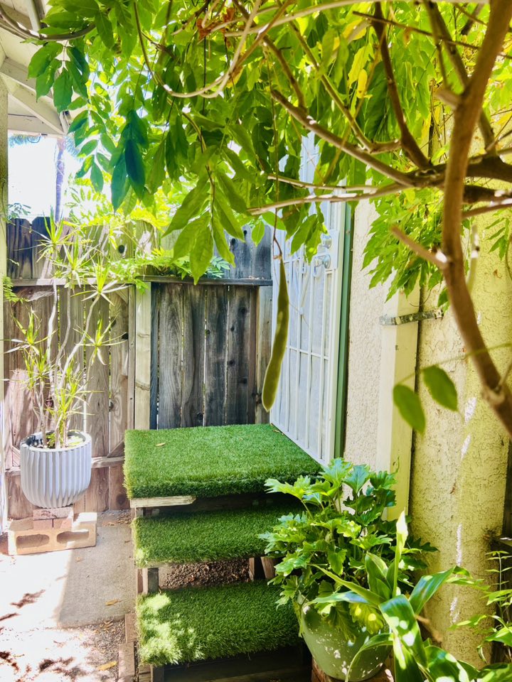 Vườn tuyệt đẹp trong biệt thự 30 tỷ của danh hài Thúy Nga: Ngập tràn sen đá, trái cây lúc lỉu trên đầu - 10