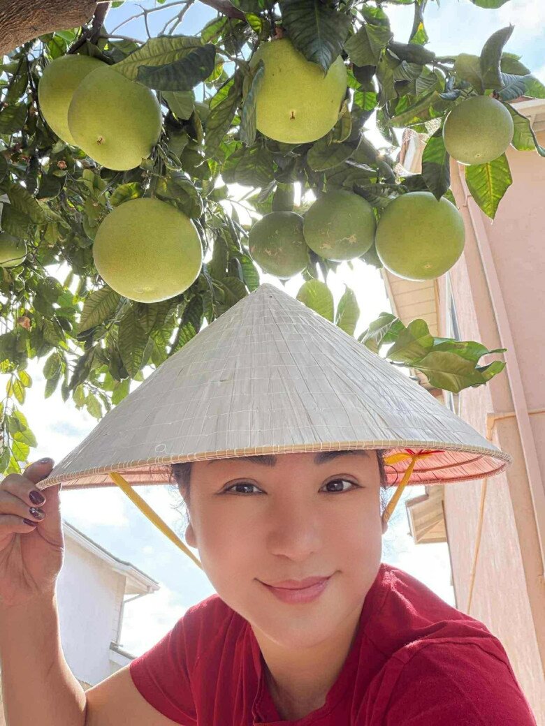 Vườn tuyệt đẹp trong biệt thự 30 tỷ của danh hài Thúy Nga: Ngập tràn sen đá, trái cây lúc lỉu trên đầu - 24