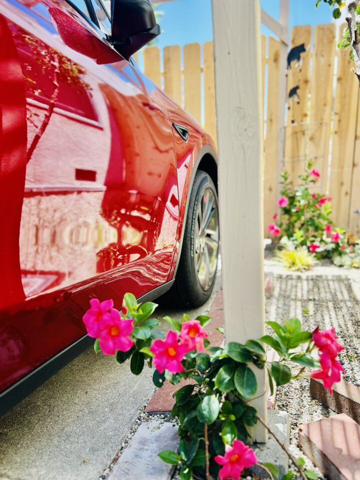 Vườn tuyệt đẹp trong biệt thự 30 tỷ của danh hài Thúy Nga: Ngập tràn sen đá, trái cây lúc lỉu trên đầu - 15