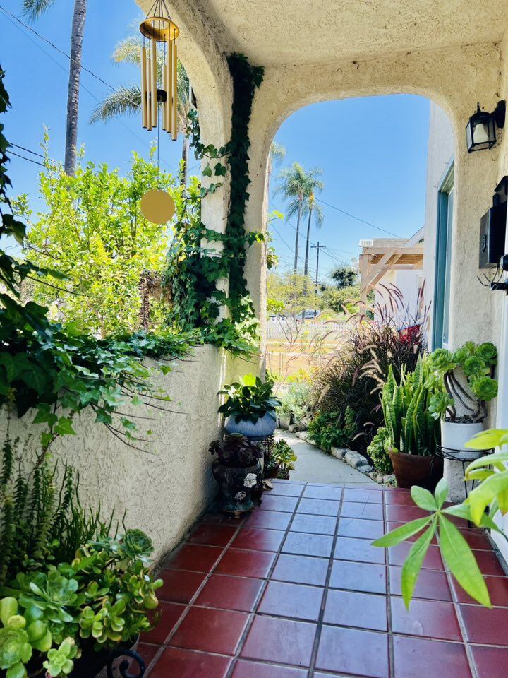 Vườn tuyệt đẹp trong biệt thự 30 tỷ của danh hài Thúy Nga: Ngập tràn sen đá, trái cây lúc lỉu trên đầu - 4