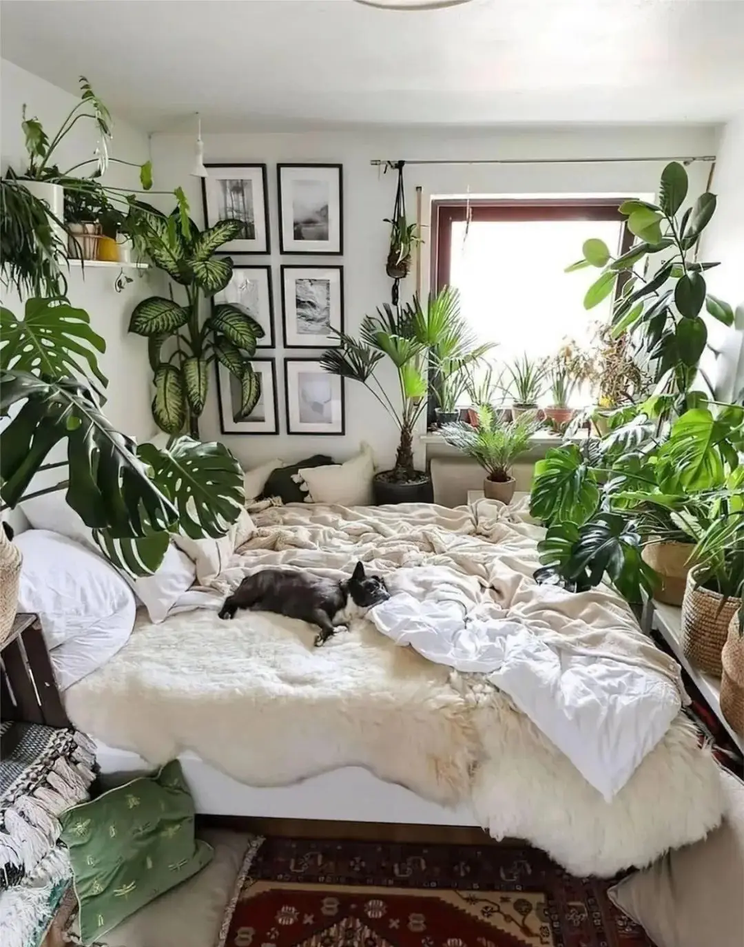 3 vị trí trong nhà dù trống cũng đừng trồng hoa, nếu không càng chăm cây càng héo, vận may tuột khỏi tay - 4