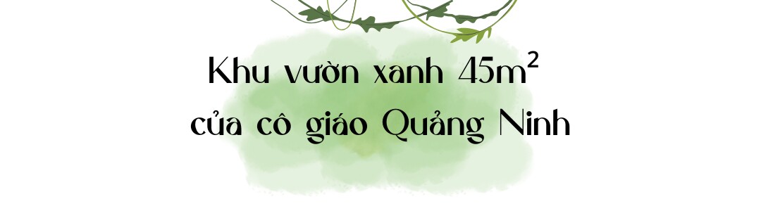 Cô giáo Quảng Ninh chi hơn 100 triệu trồng rau nuôi gà trên sân thượng: Ở trường gieo yêu thương, về nhà gieo mầm - 1