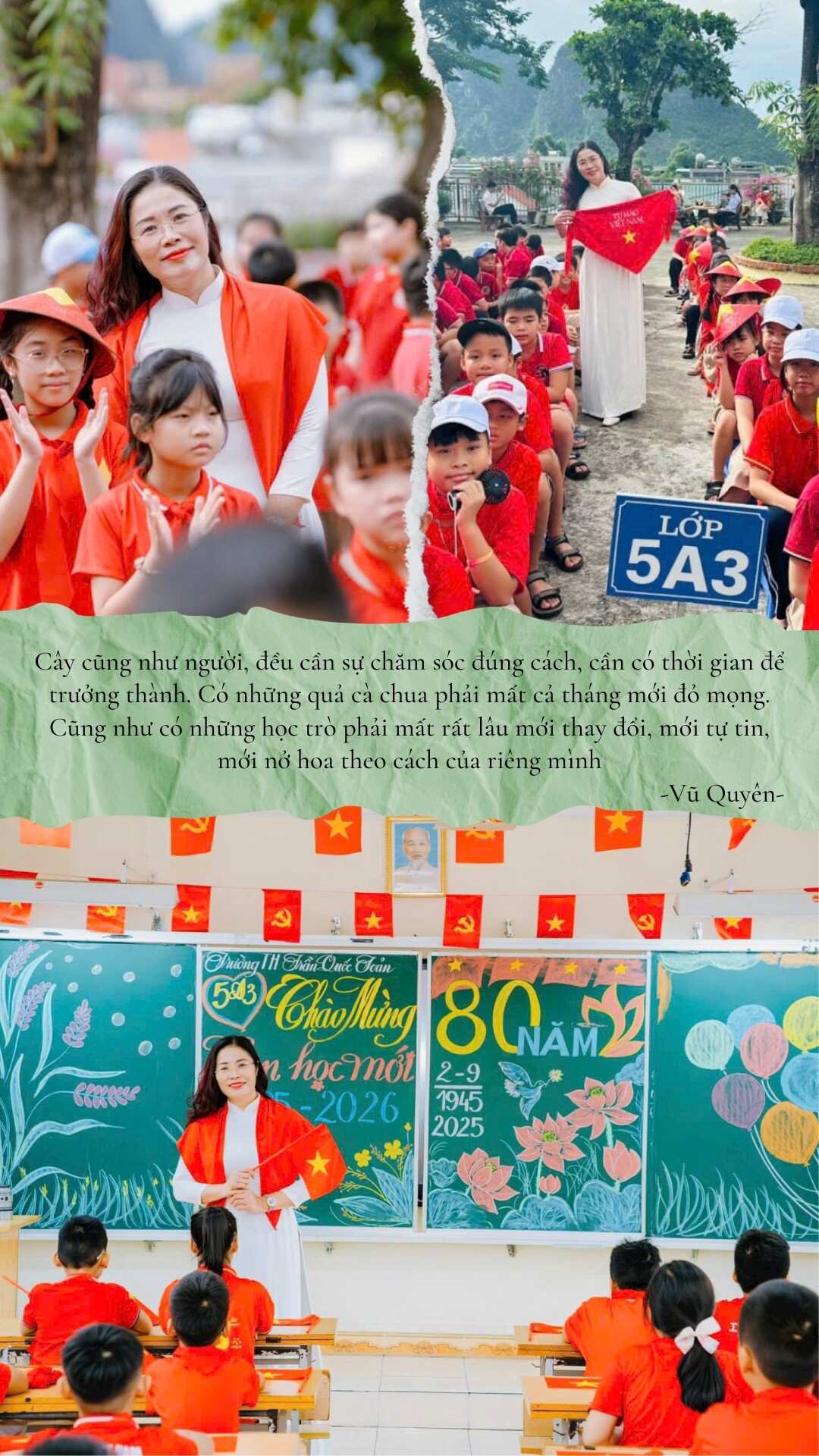 Cô giáo Quảng Ninh chi hơn 100 triệu trồng rau nuôi gà trên sân thượng: Ở trường gieo yêu thương, về nhà gieo mầm - 12