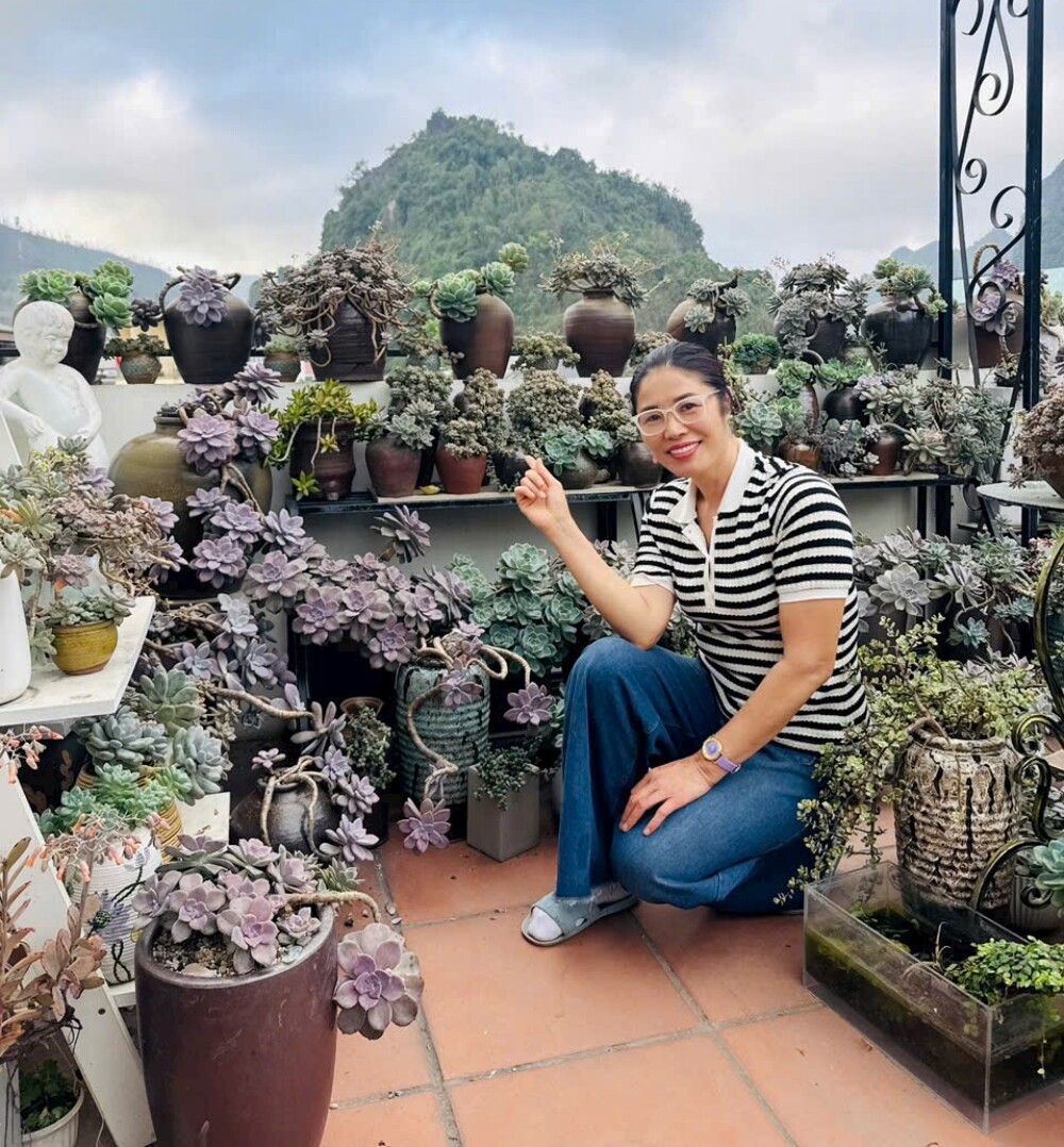 Cô giáo Quảng Ninh chi hơn 100 triệu trồng rau nuôi gà trên sân thượng: Ở trường gieo yêu thương, về nhà gieo mầm - 2