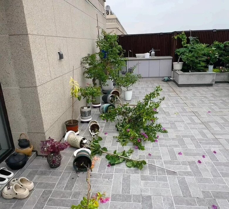 Không nghe lời khuyên cứ khăng khăng mua penthouse, dọn vào ở rồi tôi mới thấy hối hận - 5