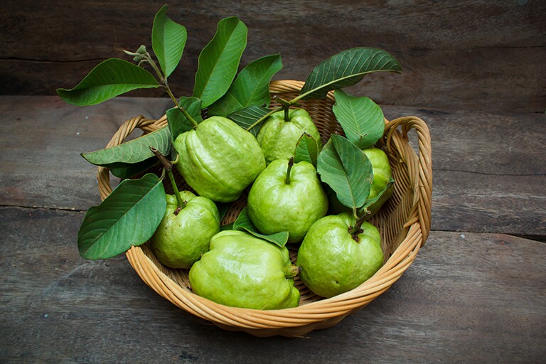 Lá này kho cá cực ngon, quả chứa vitamin C gấp 4 lần cam, trồng một cây gia đình đời đời hưng thịnh - 3