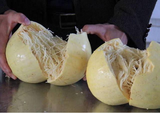 Quả này ruột toàn sợi giá 150.000 đồng/kg, trồng được quanh năm, chăm cực dễ, 3 tháng sẽ cho thu hoạch - 2