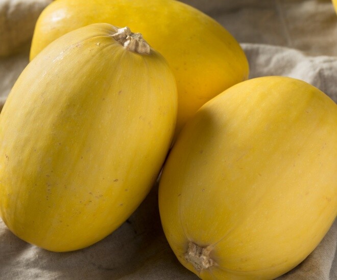 Quả này ruột toàn sợi giá 150.000 đồng/kg, trồng được quanh năm, chăm cực dễ, 3 tháng sẽ cho thu hoạch - 1