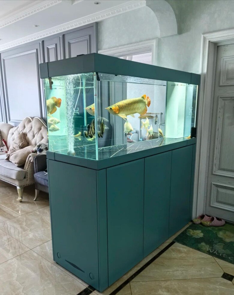 Tại sao không nên đặt 5 món đồ này trong phòng khách? Nghe chuyên gia giải thích xong, tôi mới thật sự hiểu ra - 3