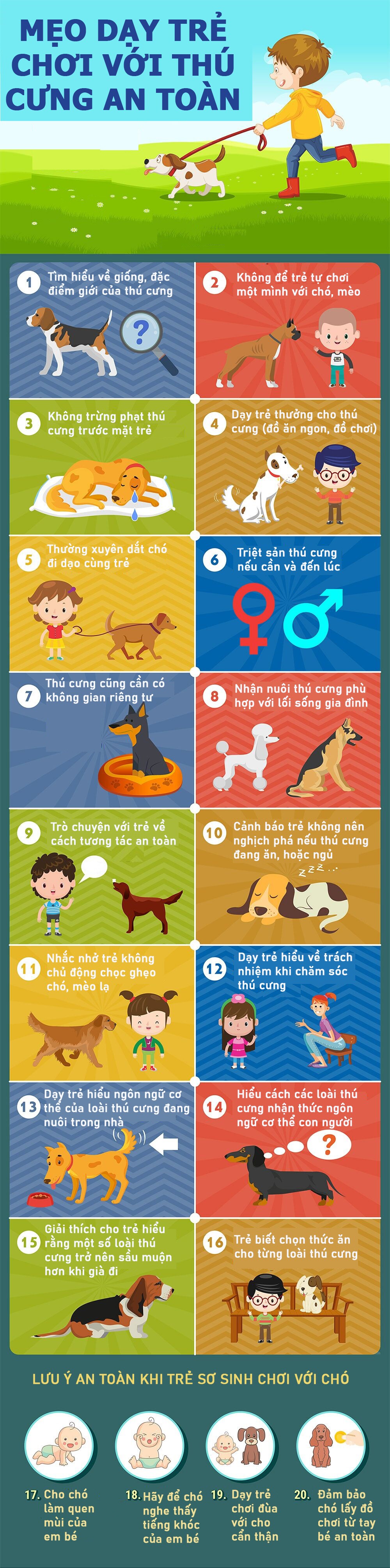 Infographic: 20 mẹo dạy con chơi an toàn với thú cưng, bài học đầu đời về lòng nhân ái - 1