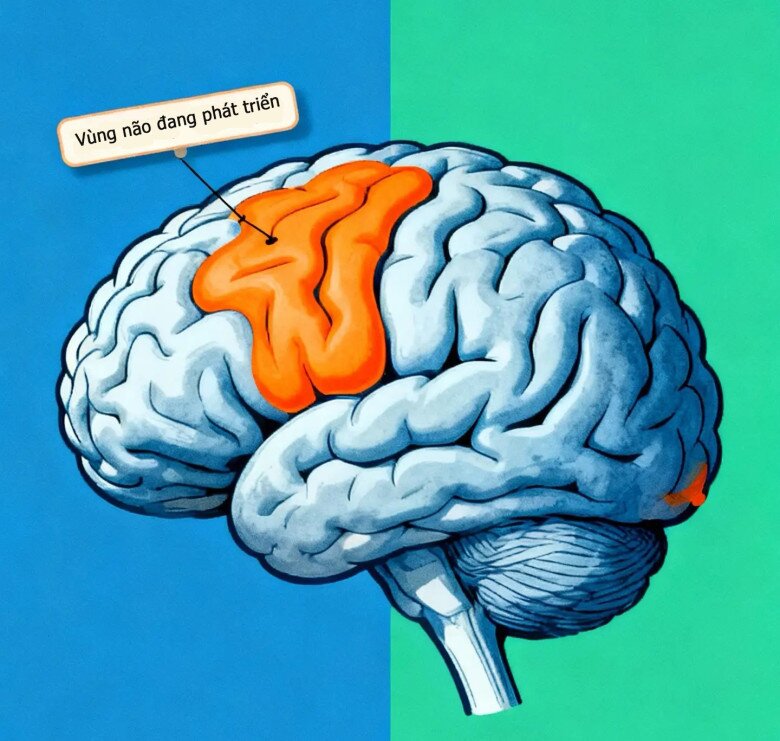 4 bí mật về phát triển trí thông minh ở bé trai mà 90% bố mẹ đều hiểu sai - 3