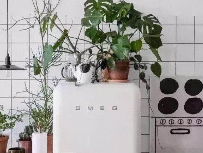Nhà nào trên nóc tủ lạnh thường đặt 3 thứ này, loại bỏ ngay kẻo tài lộc thất thoát - 2