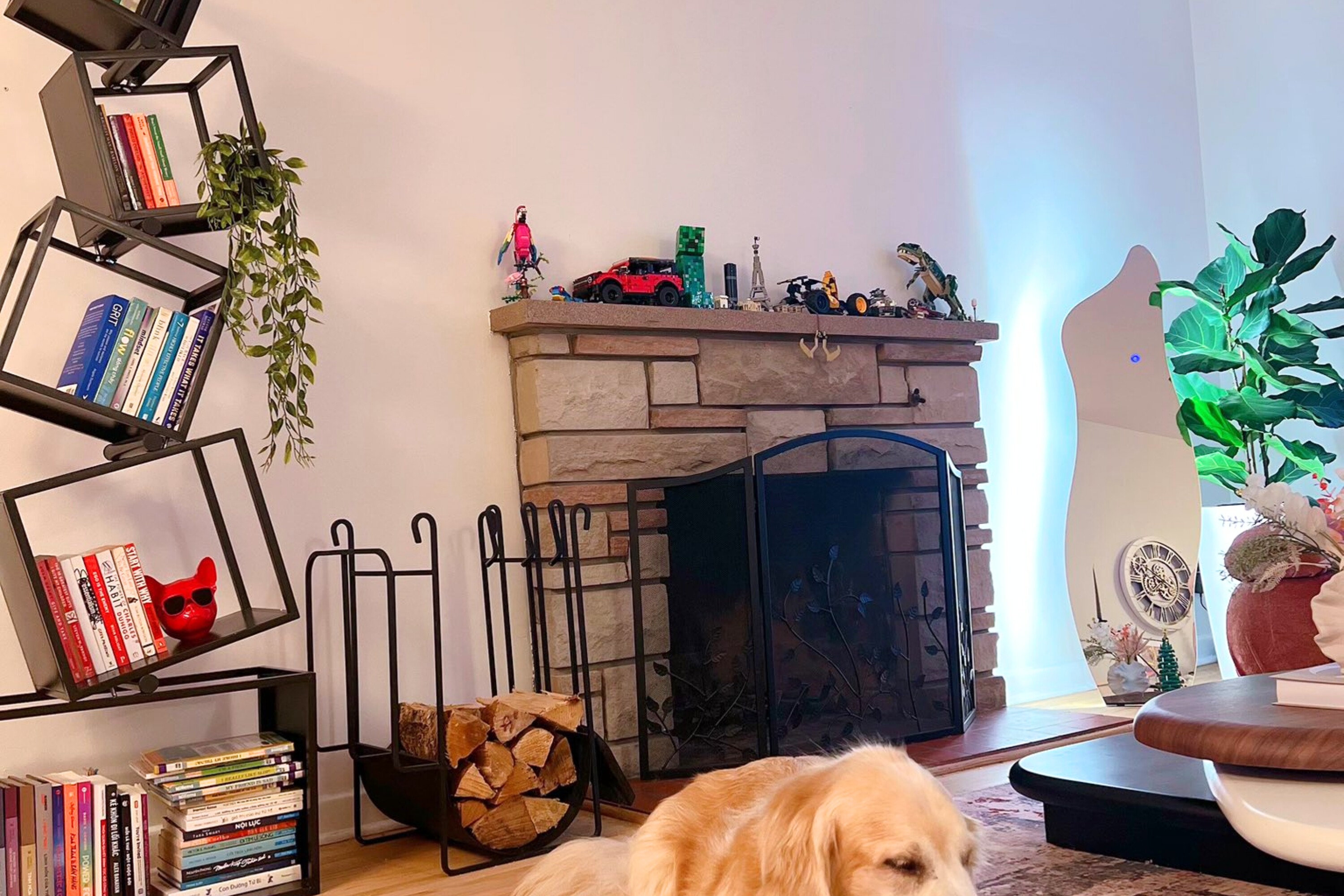 Cô gái An Giang sang Canada định cư, tích luỹ 19 tỷ đồng xây biệt thự 5 tầng rộng 650m vuông khiến ai nhìn cũng nể - 5