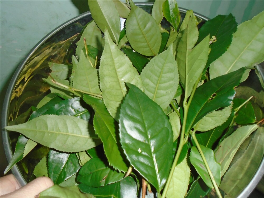 Bà nội nằm liệt lở loét da hoại tử: Cháu đích tôn giúp bà lành hẳn bằng mẹo nhỏ khó tin này! - 2