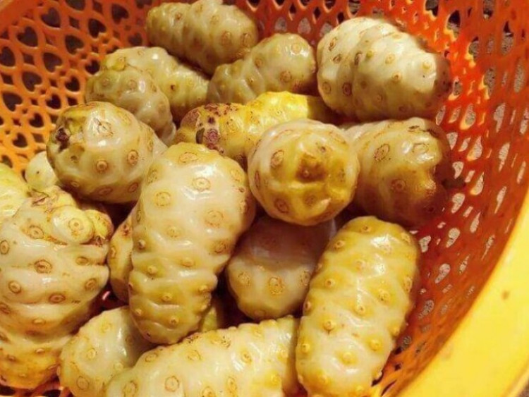 Thông tin doanh nghiệp - Mẹ chồng nằm liệt lở loét da hoại tử: Con dâu làm điều này khiến ai ai cũng bất ngờ