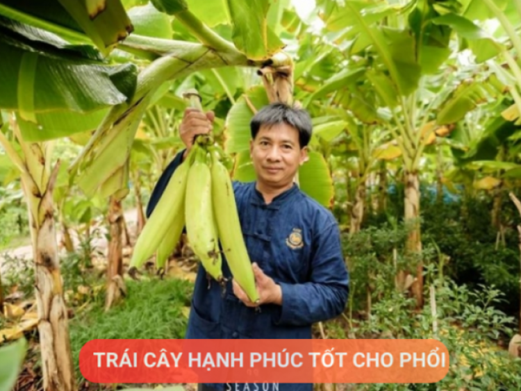 Thông tin doanh nghiệp - Loại quả được mệnh danh là “trái cây hạnh phúc”, rất giàu dinh dưỡng cho phổi, nhưng thường bị người Việt bỏ qua