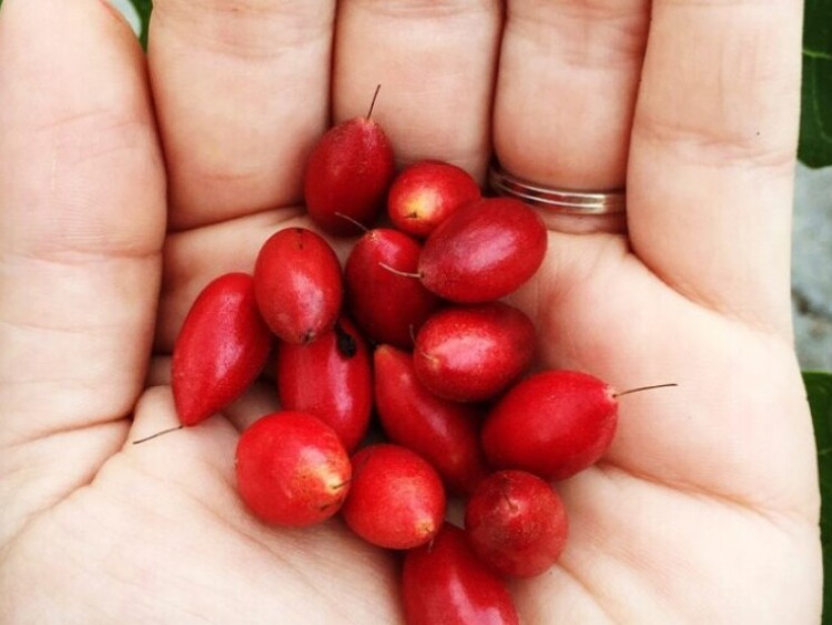 Thông tin doanh nghiệp - Chứng trào ngược dạ dày đã khiến cuộc sống tôi khổ sở nhưng rồi mẹo này đã cứu rỗi sức khỏe của tôi