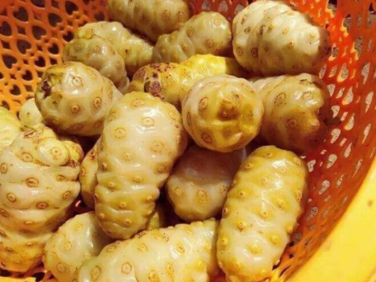 Thông tin doanh nghiệp - Mẹ chồng nằm liệt lở loét da hoại tử: Con dâu làm điều này khiến ai ai cũng bất ngờ