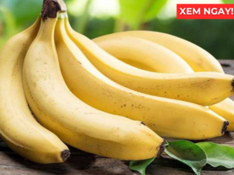 Thông tin doanh nghiệp - Thời điểm ăn chuối tốt hơn cả thuốc bổ, giúp phổi thông thoáng, ho giảm, đàm loãng và thở dễ hơn
