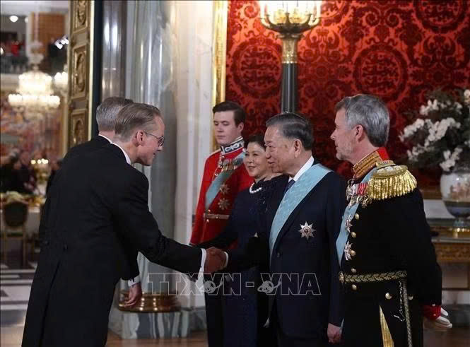 Tổng Bí thư, Chủ tịch nước Tô Lâm: Quan hệ Việt Nam và Đan Mạch tiếp tục phát triển mạnh mẽ, thực chất hơn - 8