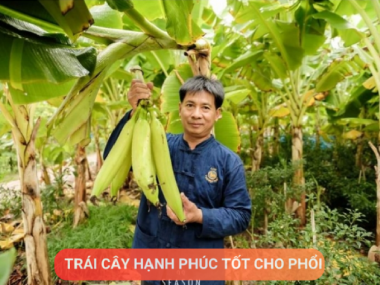 Thông tin doanh nghiệp - Loại quả được mệnh danh là “trái cây hạnh phúc”, rất giàu dinh dưỡng cho phổi, nhưng thường bị người Việt bỏ qua